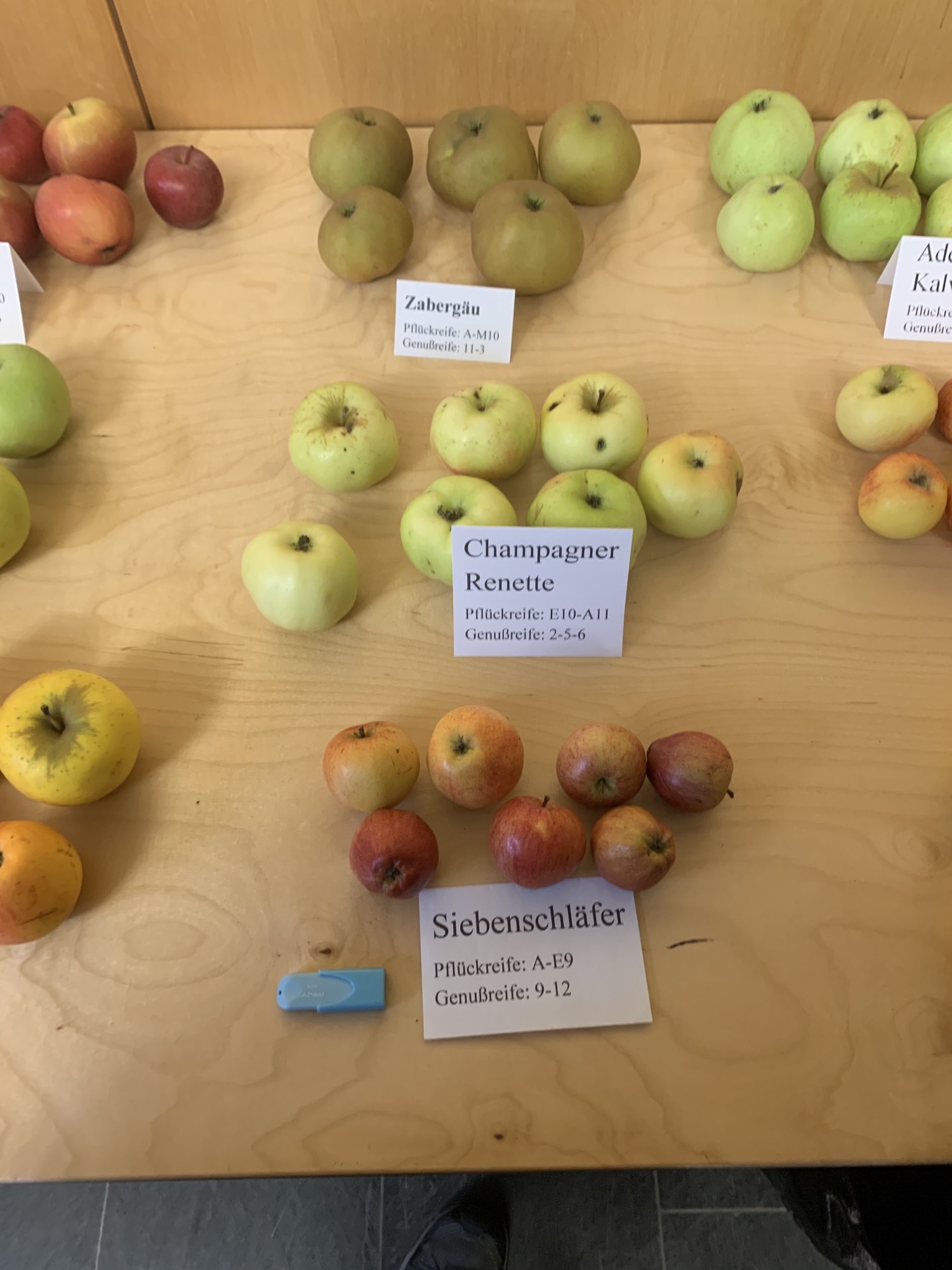 apples with description cards at the festival