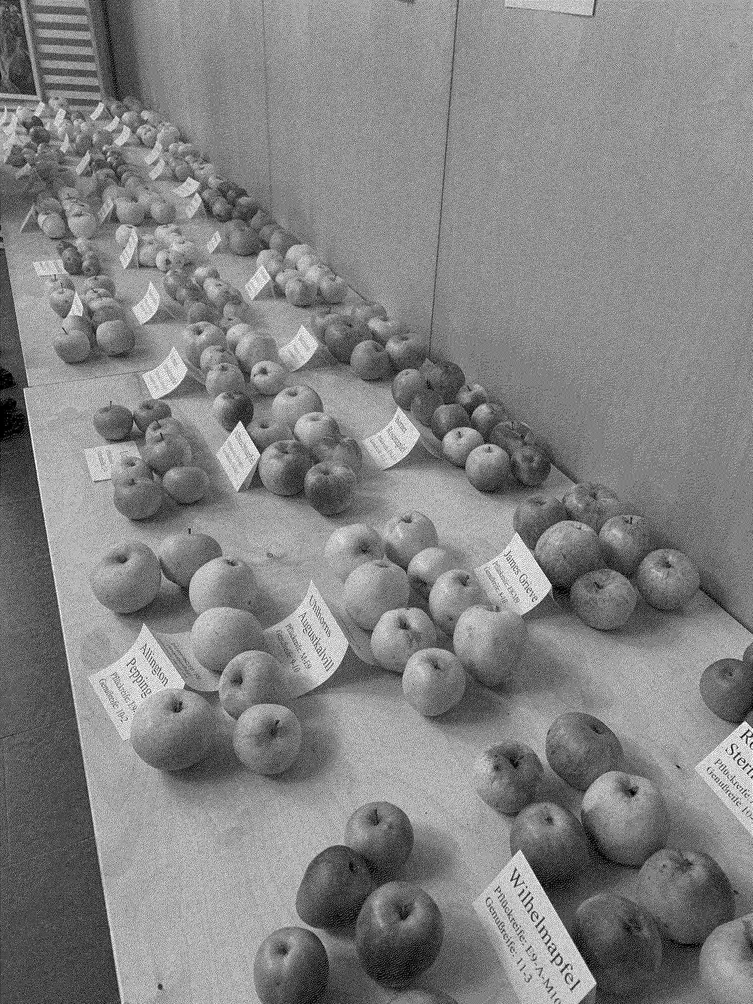 apples on a table at the festival
